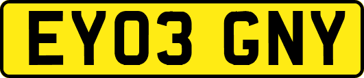 EY03GNY