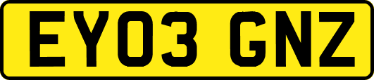 EY03GNZ