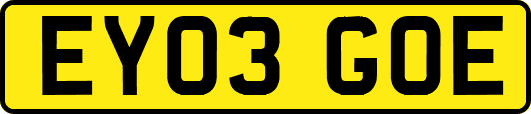 EY03GOE