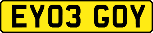 EY03GOY