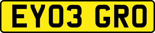 EY03GRO