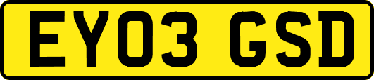 EY03GSD