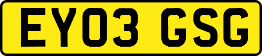 EY03GSG