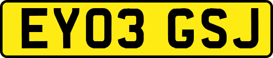 EY03GSJ