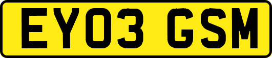 EY03GSM