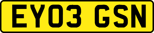 EY03GSN