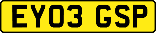 EY03GSP