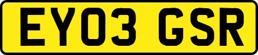 EY03GSR