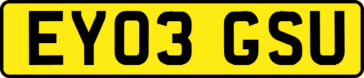 EY03GSU