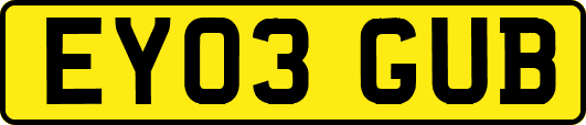 EY03GUB