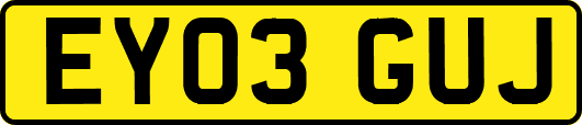 EY03GUJ