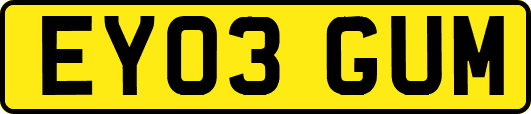 EY03GUM