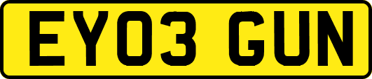 EY03GUN