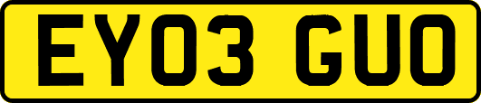 EY03GUO
