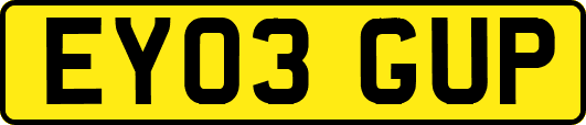 EY03GUP