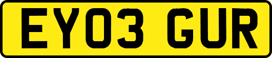 EY03GUR