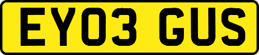 EY03GUS