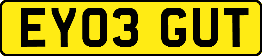 EY03GUT