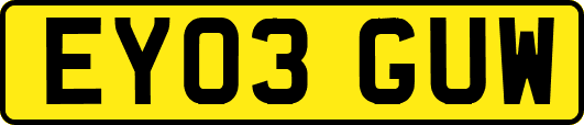 EY03GUW