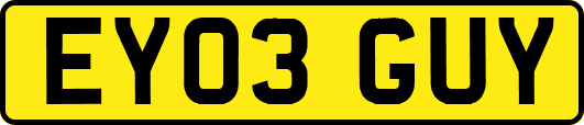 EY03GUY
