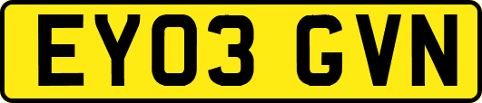 EY03GVN