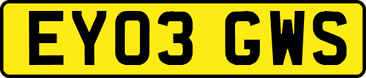 EY03GWS
