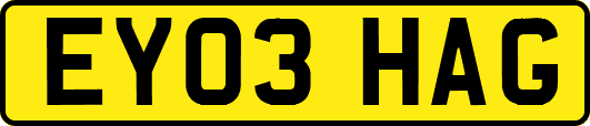 EY03HAG
