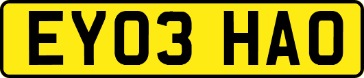 EY03HAO