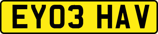 EY03HAV