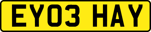 EY03HAY