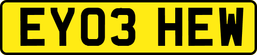 EY03HEW