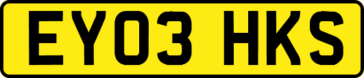 EY03HKS