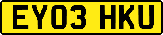 EY03HKU