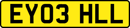 EY03HLL