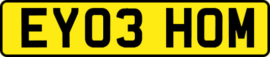 EY03HOM