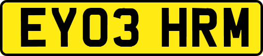 EY03HRM