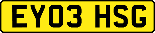 EY03HSG