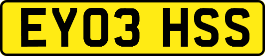 EY03HSS