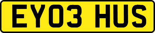 EY03HUS