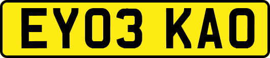 EY03KAO