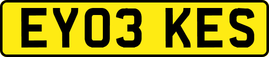 EY03KES