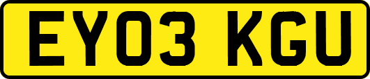 EY03KGU