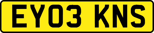 EY03KNS