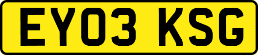 EY03KSG