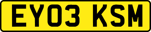 EY03KSM