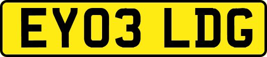 EY03LDG