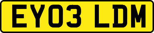 EY03LDM