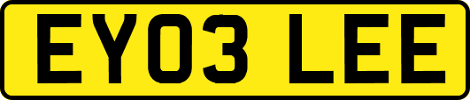 EY03LEE