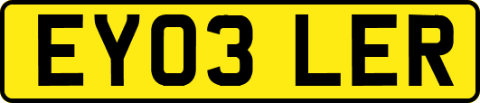 EY03LER