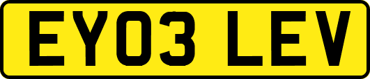 EY03LEV